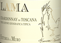 Lama – Chardonnay Di Toscana 2019